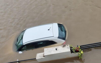 MARUTI BALENO (2024)-BARODA,GUJRAT, (WITH RC) FLOOD