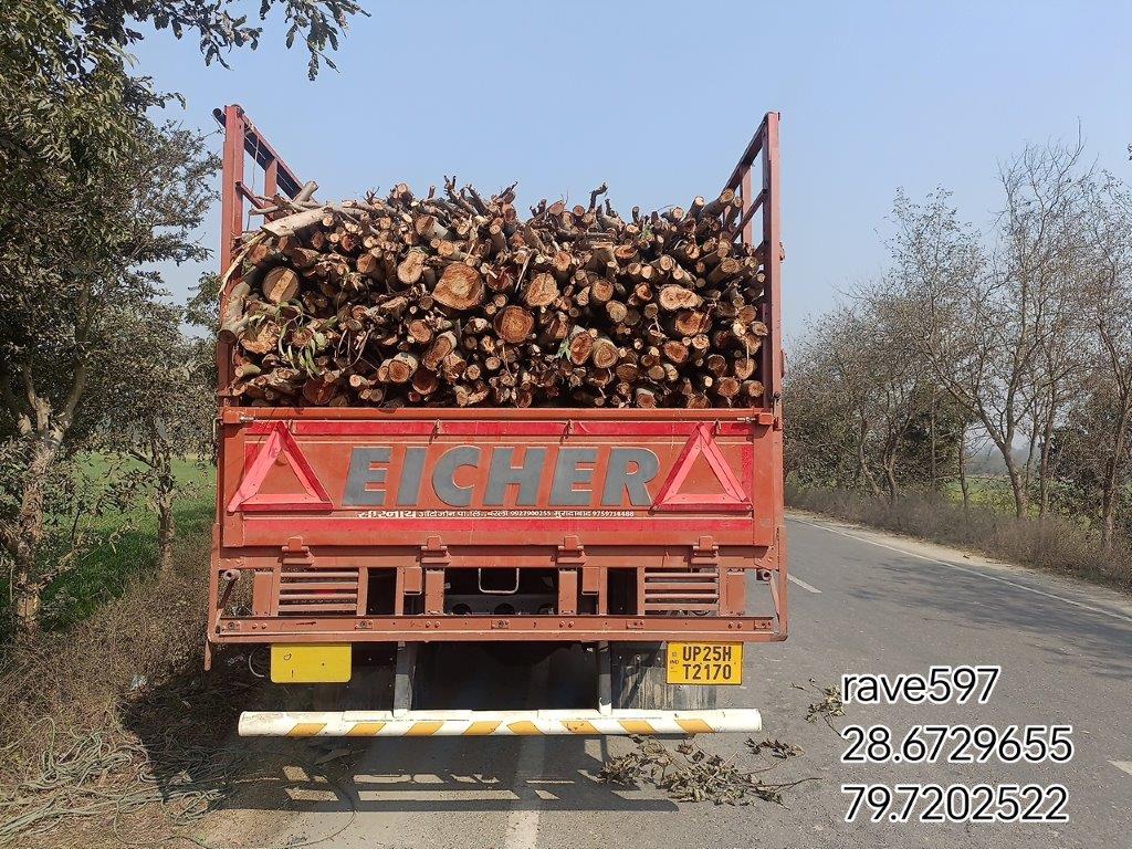 EICHER MOTORS PRO 3018 PLUS,2024,Diesel,BAREILLY,UP(WITHOUT RC)