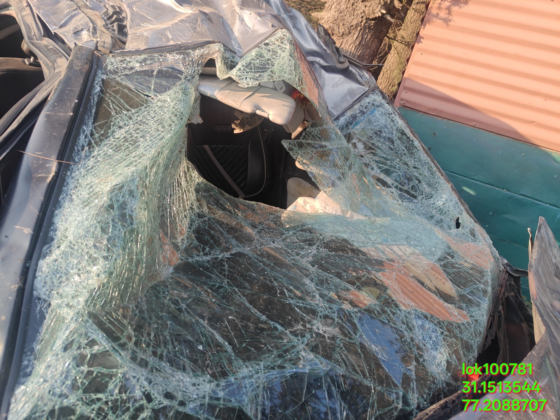 MARUTI IGNIS ZETA MT,2024,Petrol,SHIMLA,HP(WITHOUT RC)